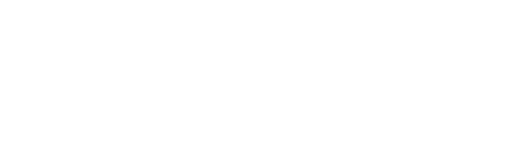 FEM CZU logo